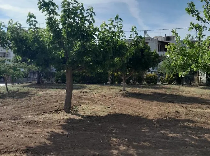 House 1 Epidaurus